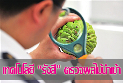 กว่างซีเตรียมนำเทคโนโลยี ‘รังสี’ สำหรับผลไม้นำเข้าของด่านในเมืองผิงเสียง
