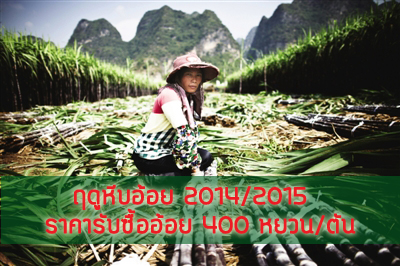 กว่างซีปรับลดราคารับซื้ออ้อย หวังกู้วิกฤตธุรกิจน้ำตาลจีน กว่างซีปรับลดราคารับซื้ออ้อย หวังกู้วิกฤตธุรกิจน้ำตาลจีน