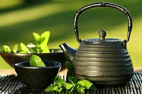 Green Tea Exported to 17 Countries from Iran Green Tea Exported to 17 Countries from Iran