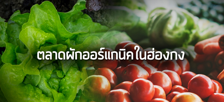 ตลาดผักออร์แกนิคในฮ่องกง ตลาดผักออร์แกนิคในฮ่องกง
