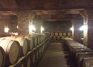 Daylong Winery วิสาหกิจร่วมทุนไทยขยายการลงทุน เตรียมทุ่มอีกพันล้านหยวนสร้างไร่องุ่นเพิ่มในหนิงเซี่ย