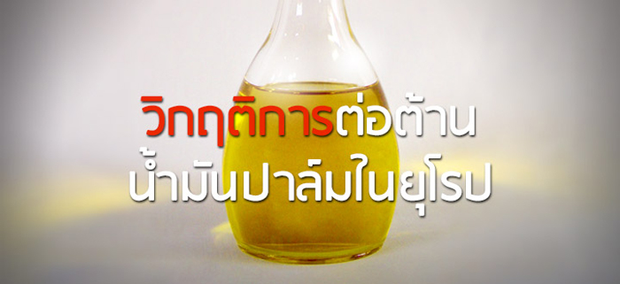 วิกฤติการต่อต้านน้ำมันปาล์มในยุโรป ไฉนจึงเป็นโอกาสการส่งออกน้ำมันปาล์มของไทย