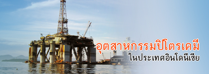 อุตสาหกรรมปิโตรเคมีในประเทศอินโดนีเซีย อุตสาหกรรมปิโตรเคมีในประเทศอินโดนีเซีย