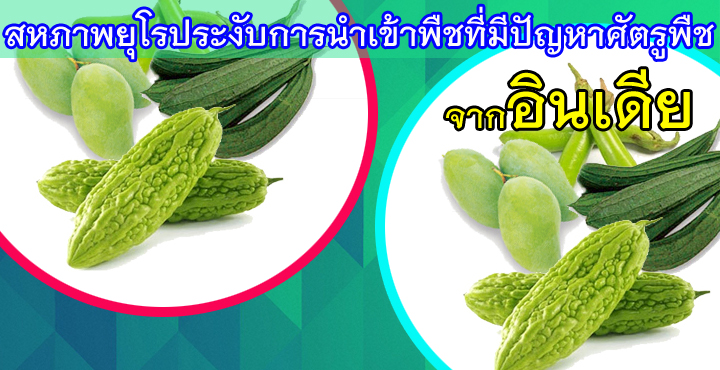 สหภาพยุโรประงับการนำเข้าพืชที่มีปัญหาศัตรูพืชจากอินเดีย