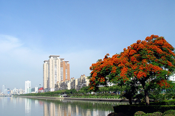 เมืองเซี่ยเหมินทุ่มเงินลงทุนโครงการ “Beautiful Xiamen” แล้วทั้งหมด 55.5 พันล้านหยวนเฉพาะภายในเดือนมกราคมถึงเดือนกรกฎาคม