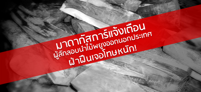 มาดากัสการ์แจ้งเตือนผู้ลักลอบนำไม้พยูงออกนอกประเทศ ฝ่าฝืนเจอโทษนัก! มาดากัสการ์แจ้งเตือนผู้ลักลอบนำไม้พยูงออกนอกประเทศ ฝ่าฝืนเจอโทษนัก!