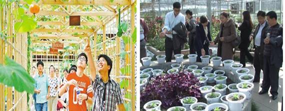 ฉงชิ่งยก “สวนเกษตรกรรม” ทางเลือกใหม่ของกลุ่มเกษตรเขตหนานชวน