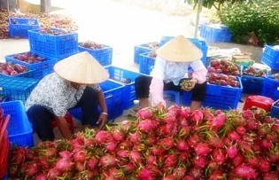 ผลไม้ไทยเตรียมหนาว!! กว่างซีเร่งพัฒนาสายพันธุ์ และแปรรูปผลผลิตเพิ่มมูลค่า ผลไม้ไทยเตรียมหนาว!! กว่างซีเร่งพัฒนาสายพันธุ์ และแปรรูปผลผลิตเพิ่มมูลค่า