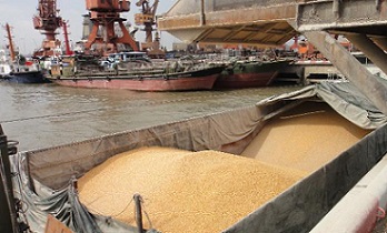 รัฐบาลกลางไฟเขียว ‘3 เมืองท่า’ ของกว่างซี เปิดสิทธินำเข้าธัญพืช (Grain)