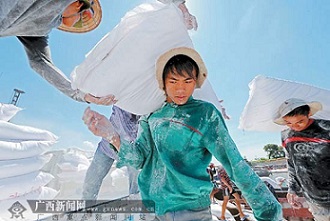 ทางการกว่างซีออกกฎเหล็กคุมเข้มมาตรฐานผู้ผลิตสตาร์ชมันสำปะหลัง