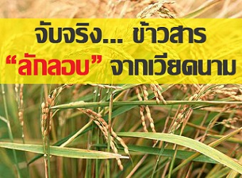 ศุลกากรกว่างซี ’เข้ม’ จับลักลอบนำเข้าข้าวจากเวียดนาม เลี่ยงภาษีกว่า 127 ล้านหยวน