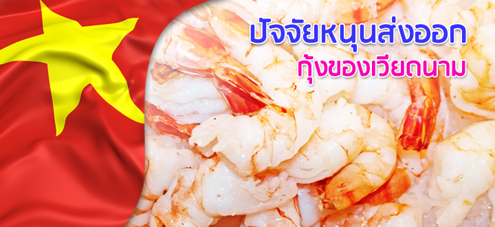 ปัจจัยหนุนส่งออกกุ้งของเวียดนาม ปัจจัยหนุนส่งออกกุ้งของเวียดนาม