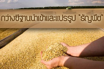 เกษตรไทยพร้อมไหม? กว่างซีต้องการนำเข้าพืชน้ำมันและมันสำปะหลังเพิ่มขึ้น