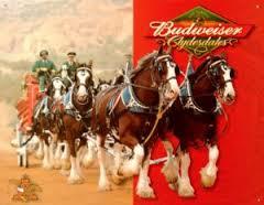 บริษัทเบียร์ Budweiser จะลงทุนในรัฐเบงกอลตะวันตก - Budweiser Plans to Set up a Unit in Bengal บริษัทเบียร์ Budweiser จะลงทุนในรัฐเบงกอลตะวันตก - Budweiser Plans to Set up a Unit in Bengal