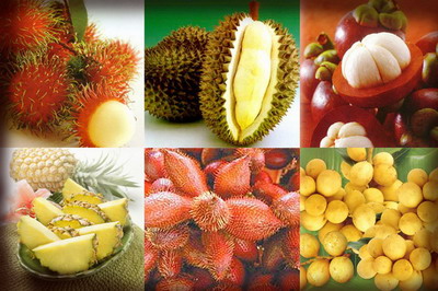ผลไม้ไทยในตลาดจีน ปี 2557 ผลไม้ไทยในตลาดจีน ปี 2557