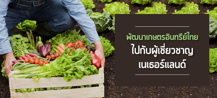พัฒนาเกษตรอินทรีย์ไทยไปกับผู้เชี่ยวชาญเนเธอร์แลนด์