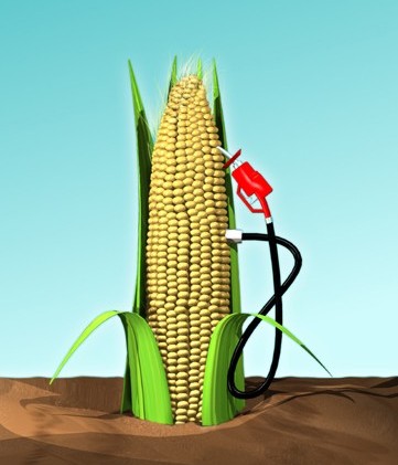 พลังงานเชื้อเพลิง Ethanol ในบราซิล พลังงานเชื้อเพลิง Ethanol ในบราซิล