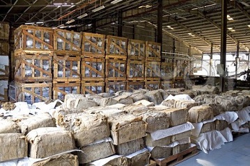 จับขบวนการลักลอบนำเข้ายางพาราจากเวียดนาม หลบเลี่ยงภาษีกว่า 360 ล้านหยวน