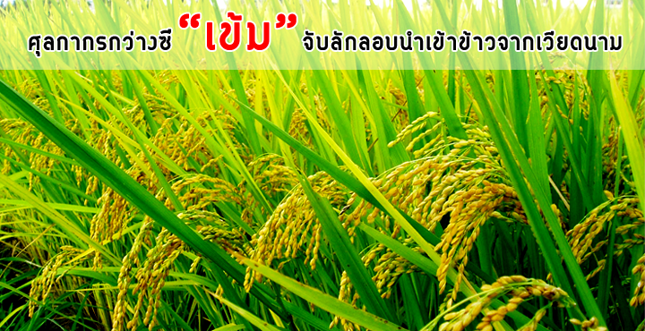 ศุลกากรกว่างซี ’เข้ม’ จับลักลอบนำเข้าข้าวจากเวียดนาม เลี่ยงภาษีกว่า 127 ล้านหยวน ศุลกากรกว่างซี ’เข้ม’ จับลักลอบนำเข้าข้าวจากเวียดนาม เลี่ยงภาษีกว่า 127 ล้านหยวน