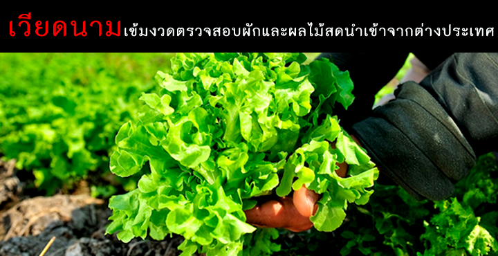เวียดนามเข้มงวดในการตรวจสอบผักและผลไม้สดที่นำเข้าจากต่างประเทศ
