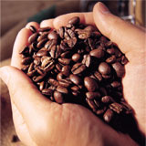 Nestle เตรียมสร้างศูนย์กาแฟในเมืองผูเอ่อร์ มณฑลยูนนาน