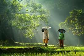 EU ให้ความสำคัญกับเกษตรกรรมแบบครอบครัว (family farming) EU ให้ความสำคัญกับเกษตรกรรมแบบครอบครัว (family farming)