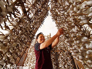 ธุรกิจสิ่งทอดันราคารังไหมในกว่างซีปรับตัวขึ้น