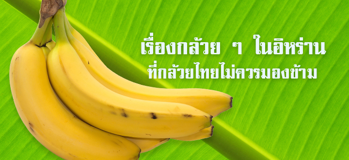 เรื่องกล้วย ๆ ในอิหร่านที่กล้วยไทยไม่ควรมองข้าม เรื่องกล้วย ๆ ในอิหร่านที่กล้วยไทยไม่ควรมองข้าม