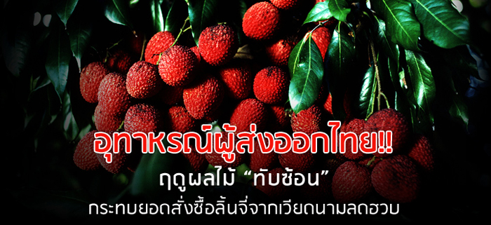 อุทาหรณ์ผู้ส่งออกไทย!! ฤดูผลไม้ “ทับซ้อน” กระทบยอดสั่งซื้อลิ้นจี่จากเวียดนามลดฮวบ อุทาหรณ์ผู้ส่งออกไทย!! ฤดูผลไม้ “ทับซ้อน” กระทบยอดสั่งซื้อลิ้นจี่จากเวียดนามลดฮวบ