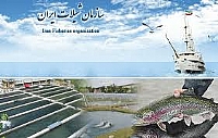 Iran’s caviar output projected to hit 3 tons Iran’s caviar output projected to hit 3 tons