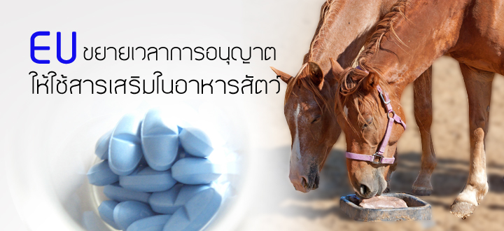 EU ขยายเวลาการอนุญาตให้ใช้สารเสริมในอาหารสัตว์ EU ขยายเวลาการอนุญาตให้ใช้สารเสริมในอาหารสัตว์